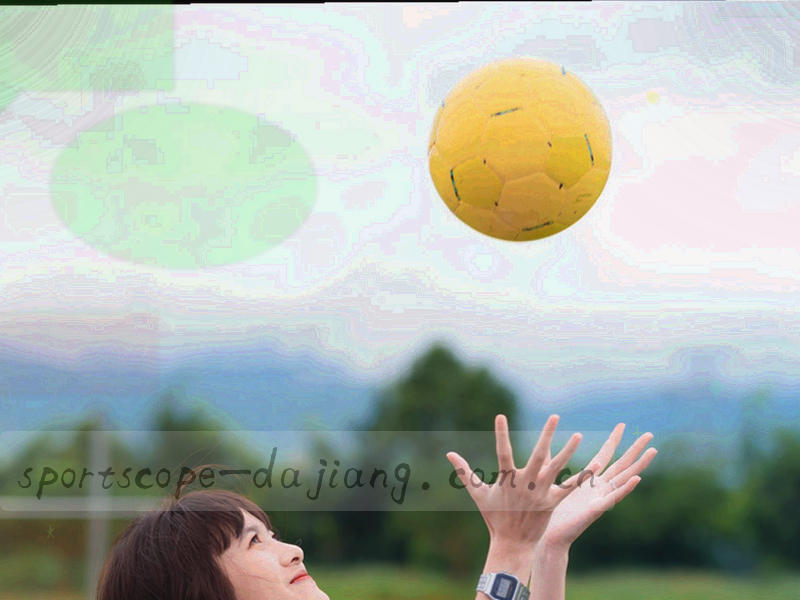 盾牌与数据线条构成的隐私保护意象